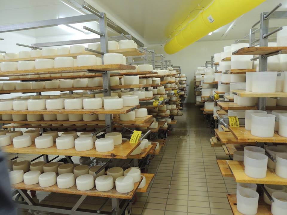 Caseificio Busti, paradiso del formaggio