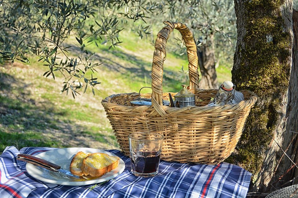 Fettunta olio extra vergine oliva soto olivo picnic