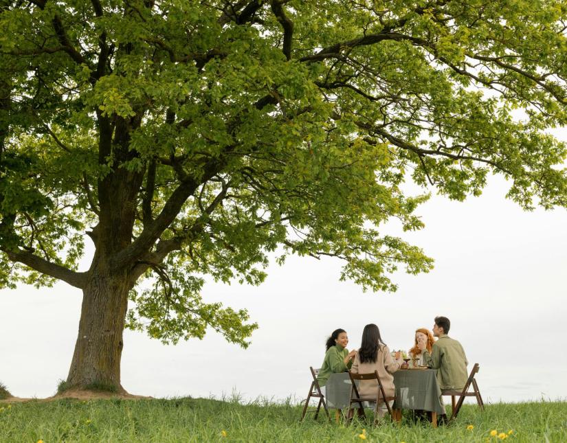 Four friends smile under a large tree, enjoying a peaceful picnic.